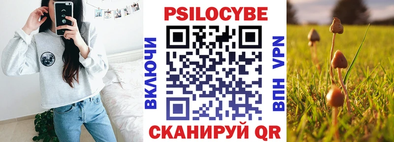 Псилоцибиновые грибы мицелий  Топки 